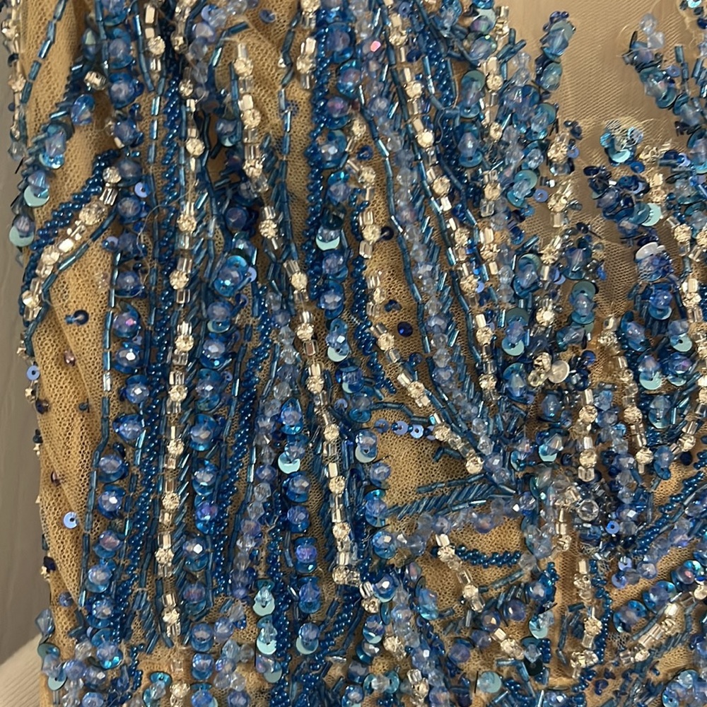 Albina Dyla Customized Blue Beaded Gown Pageant Gala Prom Ball - Picture 7 of 9